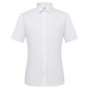 CAMICISSIMA Men's Non-Iron Ice Coffee Short Sleeve Shirt