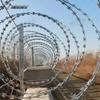High-Security Razor Wire Roll