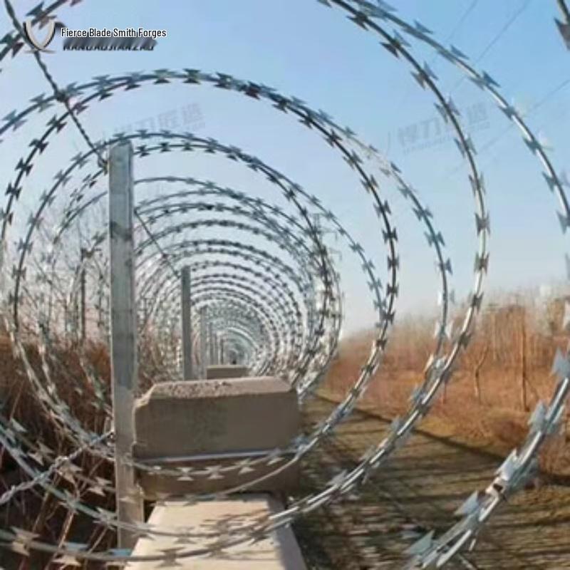 High-Security Razor Wire Roll