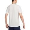 Nike Paris Saint Germain Men's Nike Soccer T Shirt HJ9761-133