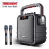 Temesheng Portable Outdoor Karaoke Speaker