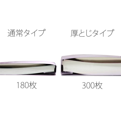 Plus Flat File Resin Binding Tool Thick Binding 300 A4 Vertical Violet 10 Books NO.021NW 79-112ÁE0