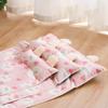 Scratch Resistant Cooling Pet Mat Cartoon Pattern Pet Cooling Pad Anti-Slip Pet Pad  Summer Use