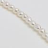 Less Is More 14K Goldfilled Baby Rice Pearl Necklace