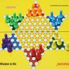 Portable Magnetic Foldable Chess Set - Travel-Friendly Puzzle Game for Leisure and Sports