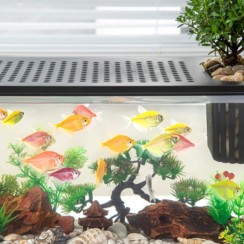 Clear Fishtanks With Safe Lid and Water Plant Holder For Gold Fish Home Desktop Decoration Aquariums Tanks