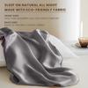 THXSILK Mulberry Silk Pillowcase Queen Size, Pillow Cover with Elastic Band, Soft Smooth Silk Pillowcase for Hair and Skin, Gift for Women Men 1 pc,