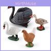 Lebensechte Dekorative Bauernhoftierfiguren Mit Schwarzschwan Henne Ente Und Gans Designs