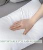 Gift White Throw Pillow Insert Standard White Bounce Back Pillow Cushion Core Sofa Car Christmas