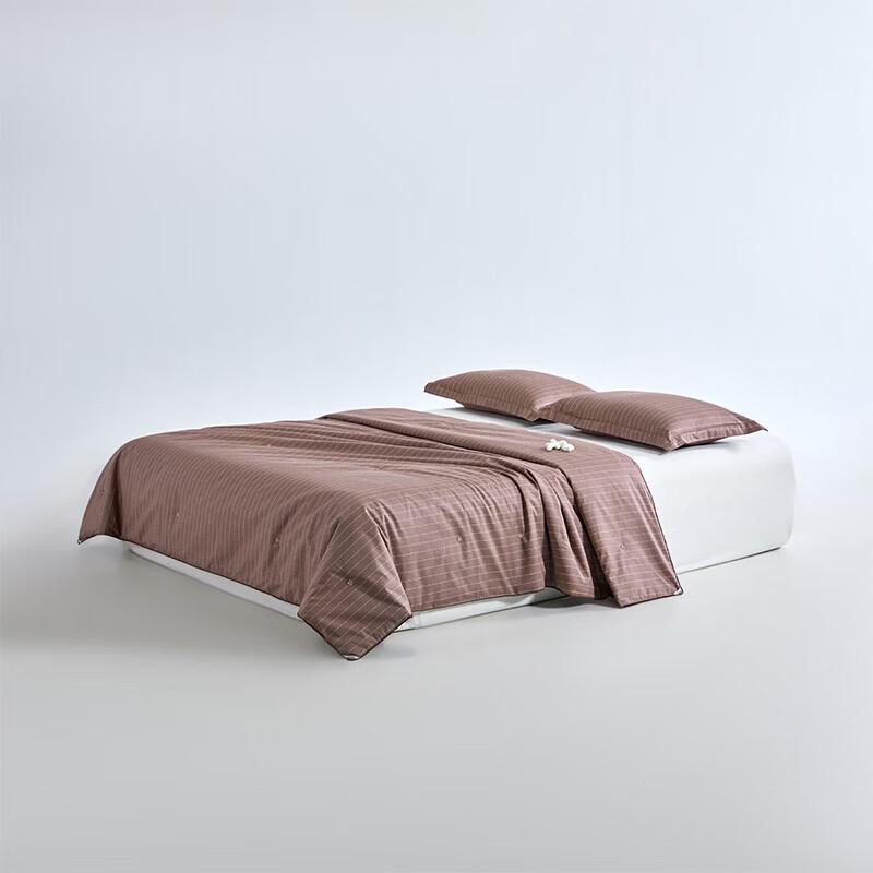 Champion Silk Blend Summer Quilt