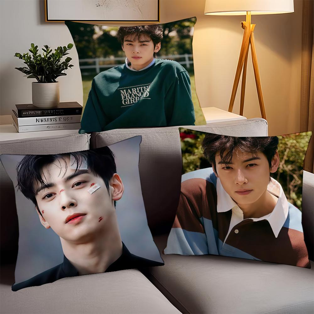 Korean Singer C-Cha E-Eun-W-Woo Pillow Case Office Cushions Suitable For Sofa Car Bedroom Decorative Cushion Cover