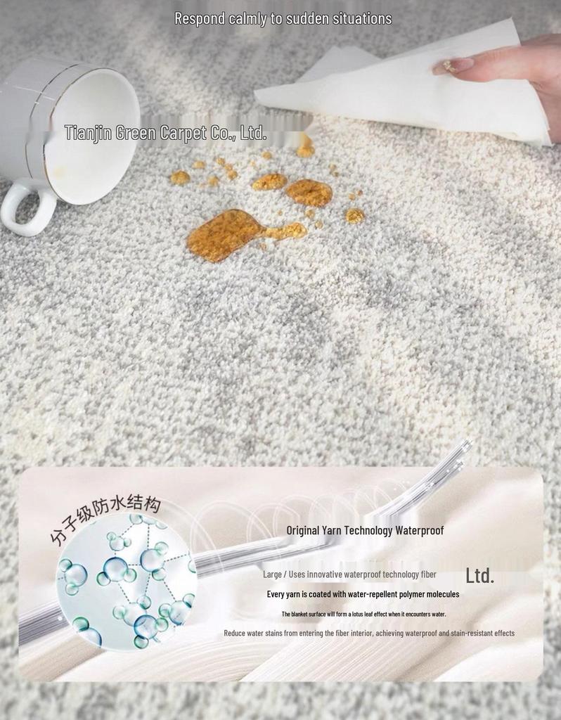 Antibacterial Waterproof Wash-Free Minimalist Luxury Living Room and Bedroom Rug