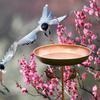 Outdoor Bird Bath Bowl with Bird Ornament for Garden Decors Sturdy Metal Construction Stable Prongs Base