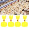 10 Stück Edelstahl Hühnernippel Tränke 20ml Becher Geflügelzubehör Geflügeltränken