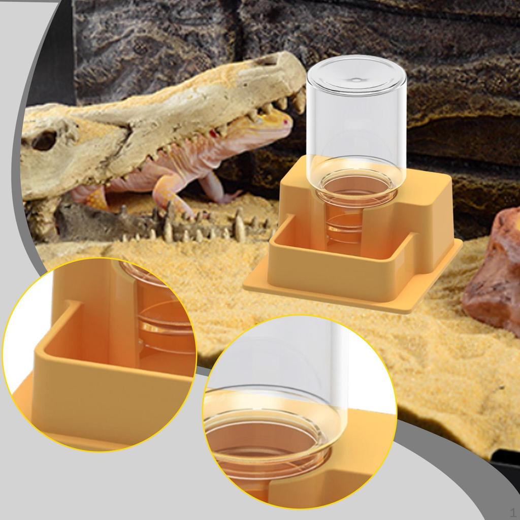 Reptile Feeder Automatic Water Dispenser Tank and Aquarium Accessories for