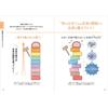 Tsunoda-Style Joint Chiropractic Book: Reset Body Pain in 5 Seconds by Seitosha