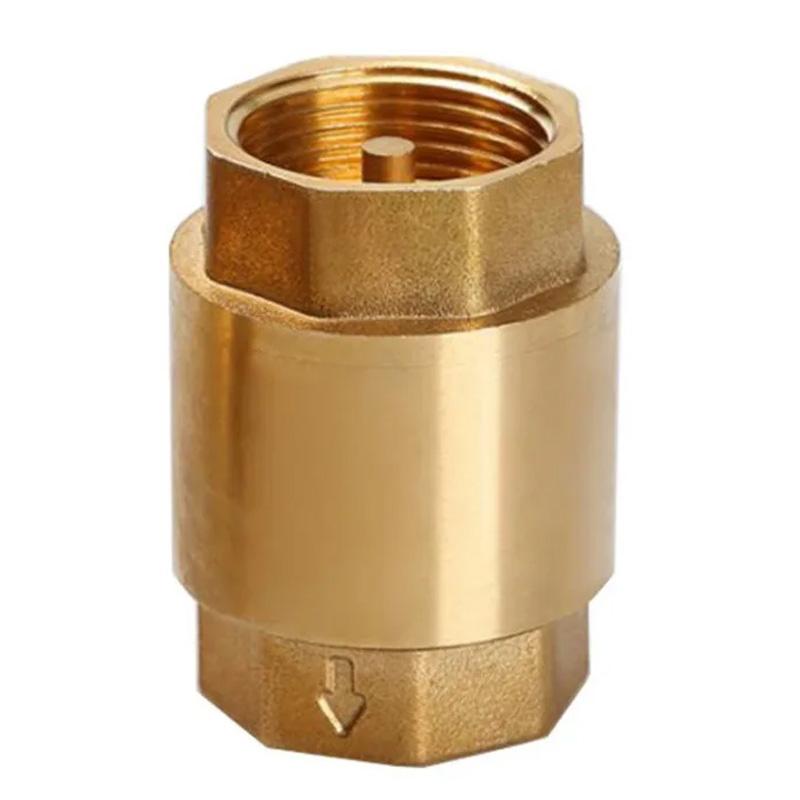 OEM 304 SS NPTF Check Valve 1/2"-1-1/2" for Potable Water Systems – Industrial Grade