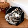 Three Wolves  Pattern, Automatic Folding Umbrella, Portable and Foldable Design, 8 Ribs, a Christmas or Birthday Gift.