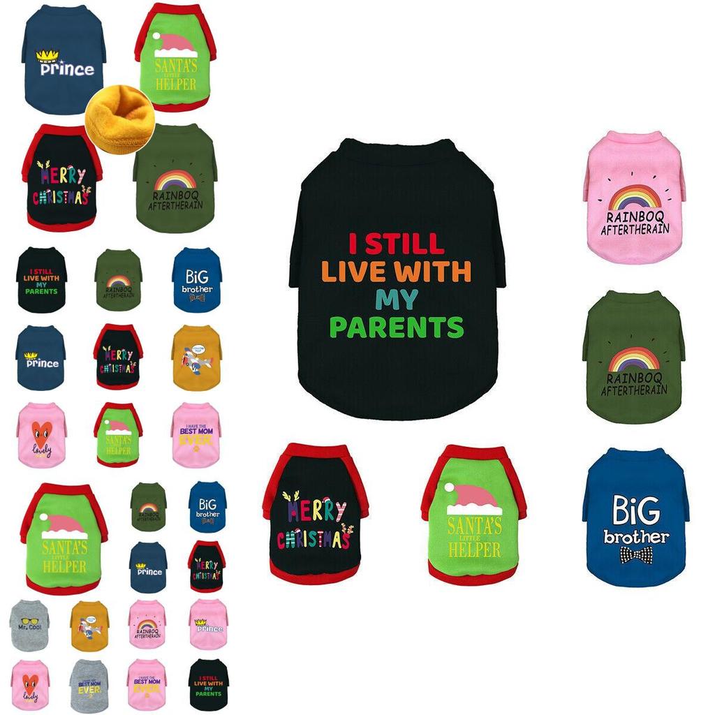 Entzückender Weihnachtspullover für Haustiere mit Weihnachtsmann-Motiv für Hunde und Katzen für diese Saison