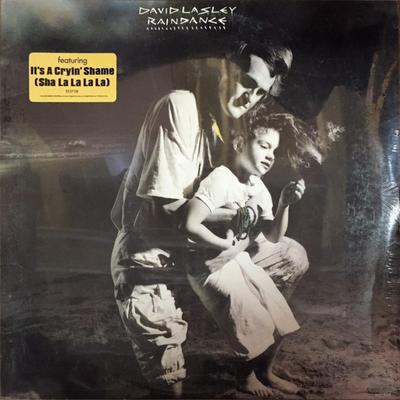 LP Record DAVID LASLEY - Raindance ST17118 EMI AMERICA 1984 US Soul/Funk Used