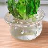 Mini Cactus Ornament Decorative Resin Cactus Car Dashboard Decor for Home Office Computer Desk Lightweight Novelty Gift for All Ages
