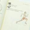 Triathlon Sports Anatomy Illustrated