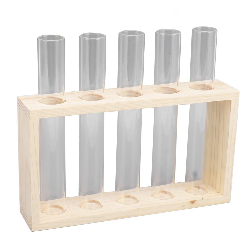 5 Test Tube Plant Terrarium Transparent Observe Growth Status Water Plant Holder with Wooden Stand for Herbs