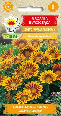 Gazania Seeds Flower Seeds for the Garden Large Yields