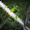 Household Rechargeable Handheld Grass Trimmer Garden Pruning Power Tool Blue/Red Portable Brushless Electric Hedge Trimmer