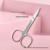In-Stock Stainless Steel Eyebrow Trimming Scissors - Round Nose & Pointed Beauty Makeup Tools