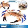 Large Marine Simulation Crabs: Three-Pointed, Red Flower, Blue Crabs - Children's Toy & Aquarium Decor