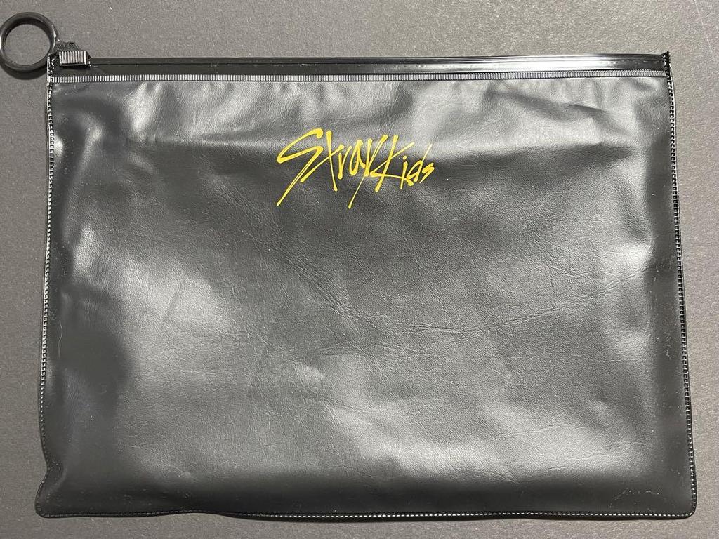 [USED] Rare Stray Kids unlock GO LIVE IN LIFE slogan