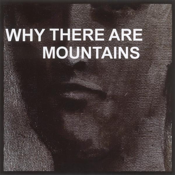 

CD CYMBALS EAT GUITARS - Why There Are Mountains NONE Not On Label 2009 US Rock Used