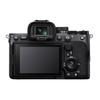 Sony Alpha a7 IV Full-Frame Mirrorless Camera with 24-70mm f/2.8 GM II Lens (CN version)