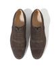 Firenze Atelier Classic Line Basic Suede Oxford 4006-Qs [Dark Brown]
