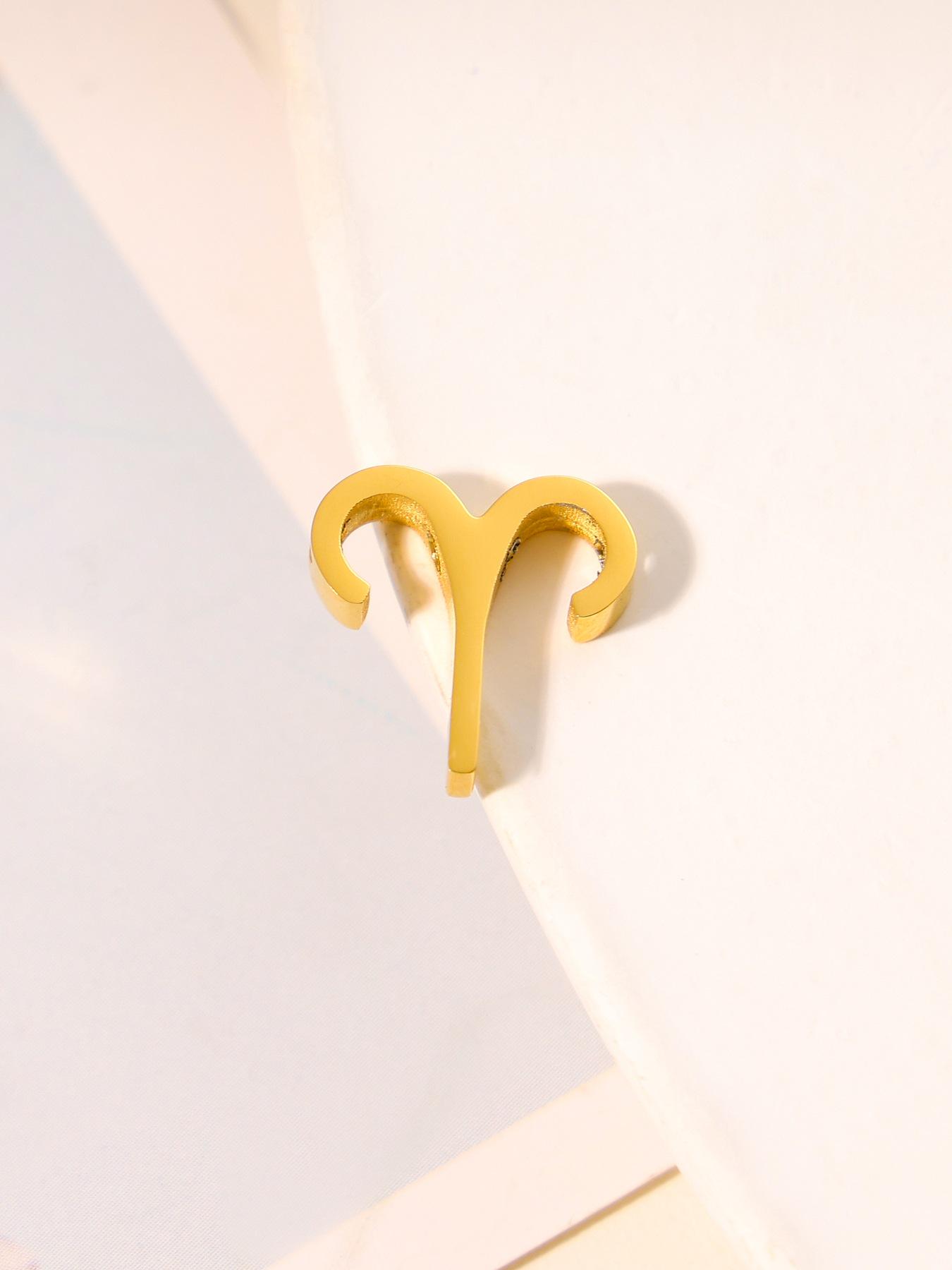 

Набір підвісок з нержавіючої сталі «Дванадцять сузір їв»