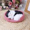Simulationsfell Meerschweinchen Katze Tier Plüschtier Stofftier Hamsterpuppe Plüschtier Weiche Stofftierfigur Als Geburtstagsgeschenk