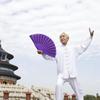Plastic Bone Dance Fan Tai Chi Fan Yoga Kung Fu Performance Hand Folding Stage Fan Chinese Chinoiserie Wedding Party Decor