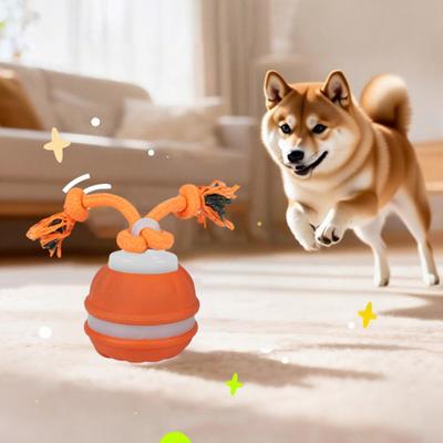 Cani – Giocattoli per cani
