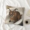 Capa de Almofada Meme Fofo Floppa 40x40 Decoração de Casa Dakimakura Engraçada Gato Caracal Capa de Almofada para Sala de Estar Housse De Coussin