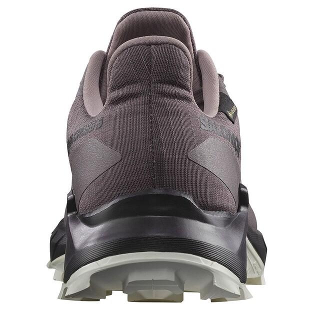 SALOMON Alphacross 5 Goretex Trail Running Shoes