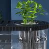 Transparent Plastic Fish Tank Space-Saving Clear Table Fish Bowl Tabletop Fish Bowl  Plant Growing