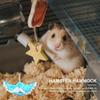 1pc Hanging Pet House Toy Soft Warm Hamster Hammock Bunk Bed for Sugar Glider Guinea Pigs