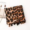 Scarf Women's Spring and Autumn New Winter Foreign Style Fashion Shawl Versatile Leopard Print Dual-purpose Silk Scarf