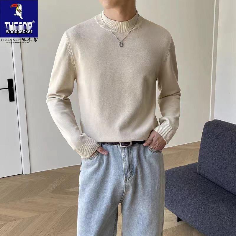 Specht 2025 Herren Rollkragenpullover – Unifarben gestrickt, Langarm, Herbst/Winter-Wärme, Hongkong-Stil