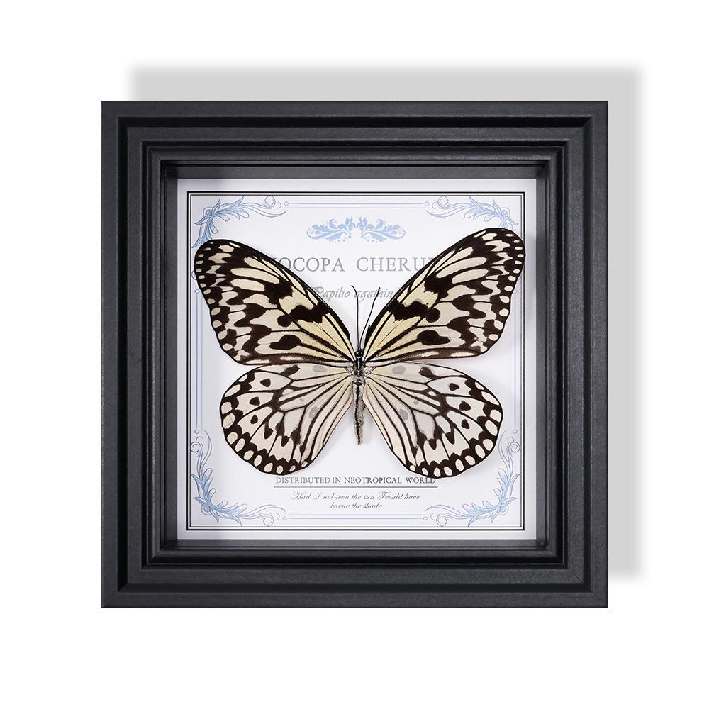 Wall-Mounted Butterfly Specimen Photo Frame: Home Decor & Gift for Valentine's Day, Qixi, Birthday, Couples & Insect Lovers
