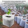 100pcs Non-Woven Nursery Bags Tree Seedling Pots with No Transplant Shock, Biodegradable Plant Growing Containers