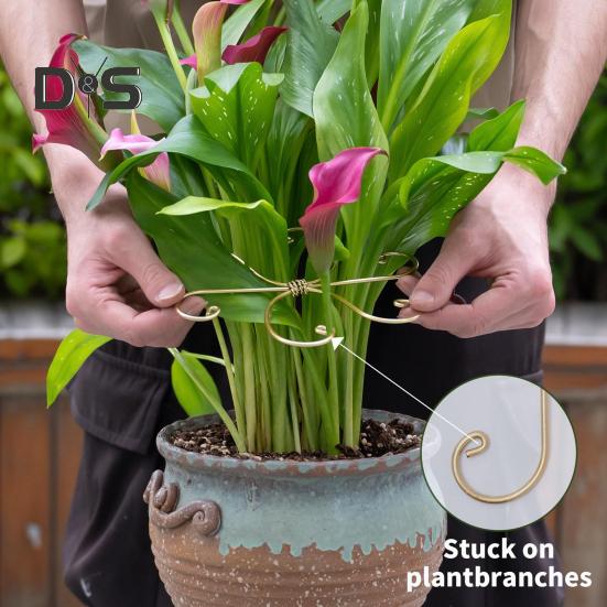 Monstera Plant Stabilizer Metal Plant Stem Holder Indoor Plant Support Stem Stabilizer for Garden Flowers Potted Plants Thriving Growth