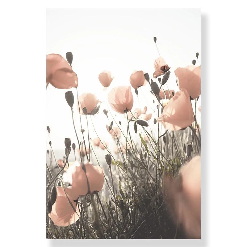 

Северный морской пейзаж холст печать пляж плакат деревянный мост сено цветок настенная живопись настенные картины для декора гостиной 30x40cm No Framed