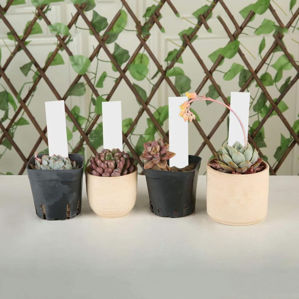 Yousheng 4 Inch Plant Labels Plastic Plant Name Tags Reusable Plant Tag Stakes with Marker Pen for Seedlings Flowers Herbs Vegetables